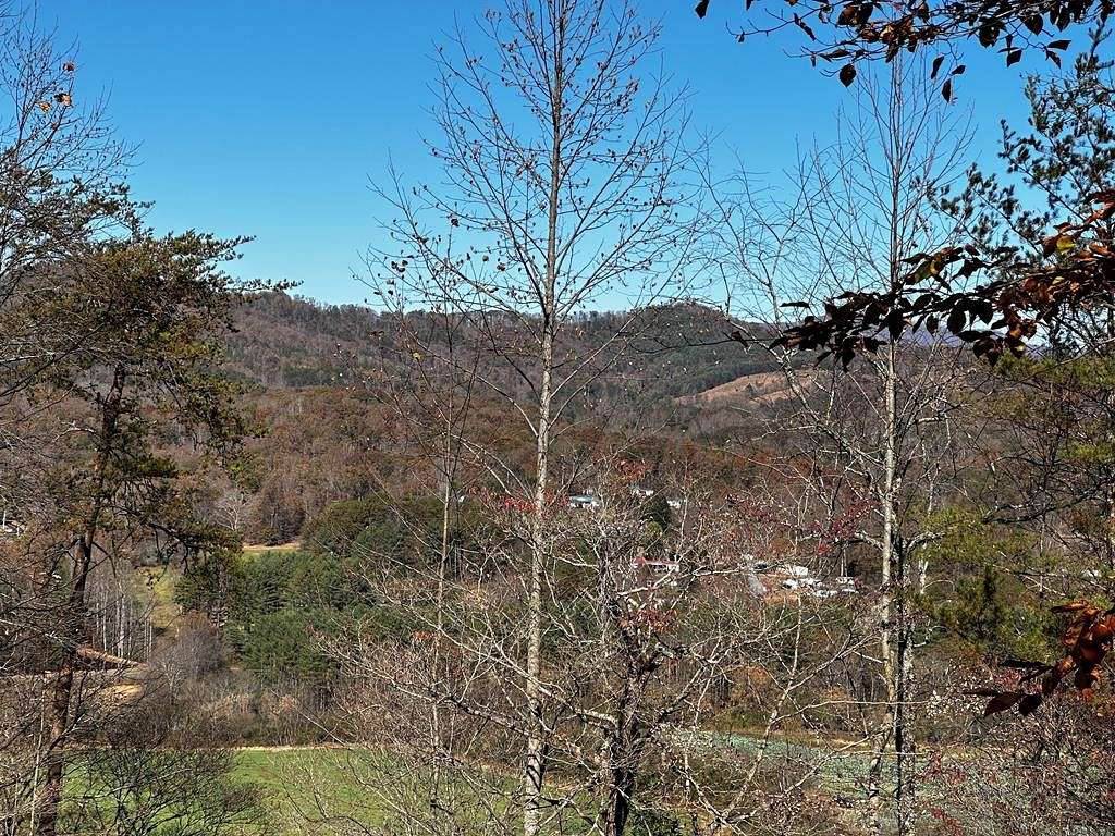 1 Acre of Residential Land for Sale in Warne, North Carolina