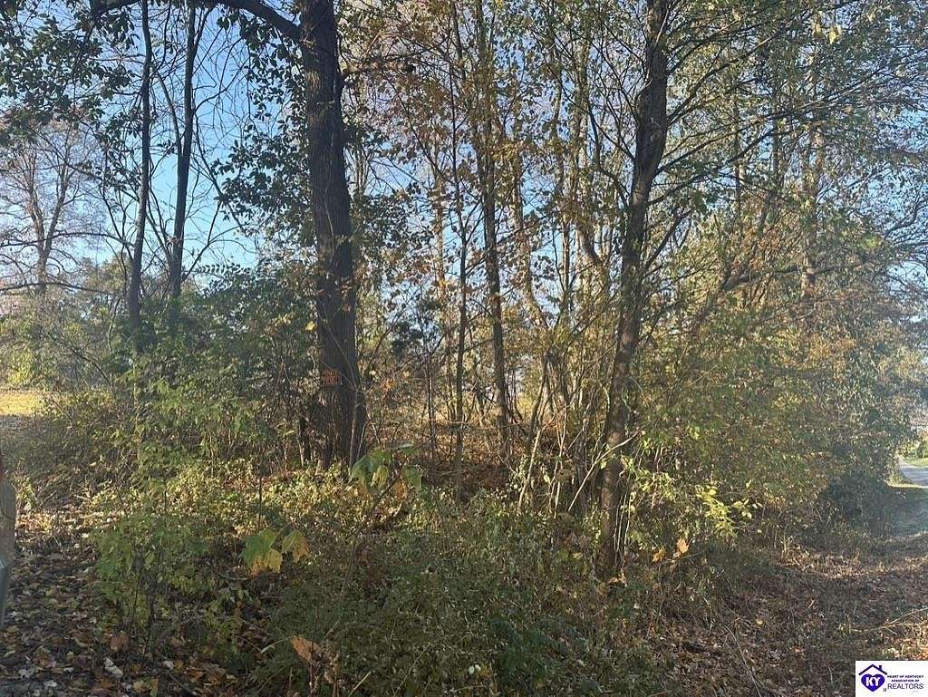 5.1 Acres of Land for Sale in Glendale, Kentucky