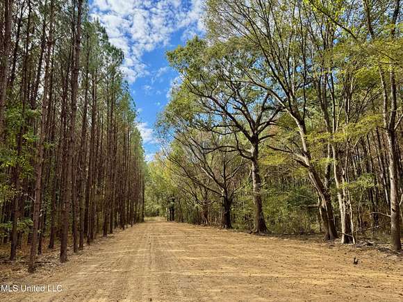 102 Acres of Recreational Land for Sale in Gluckstadt, Mississippi