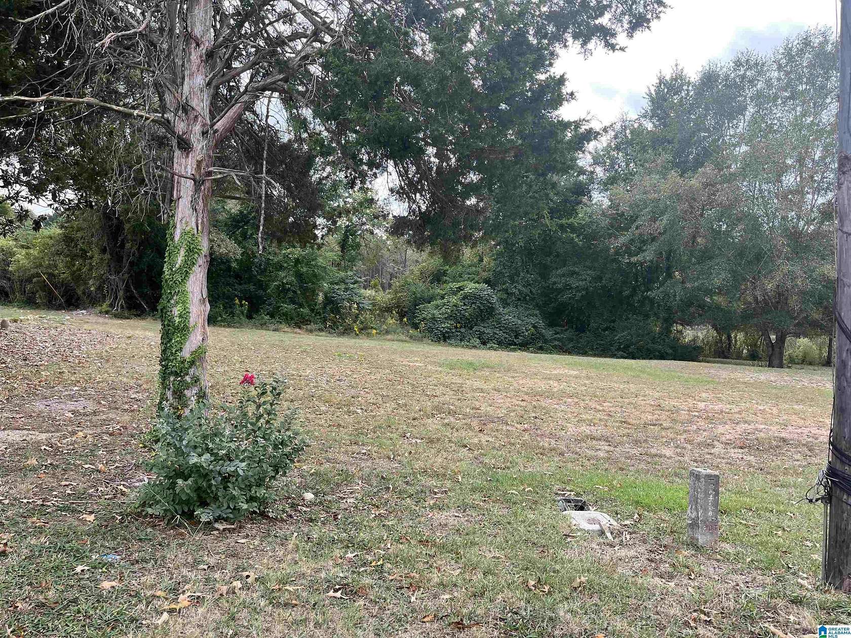 0.34 Acres of Commercial Land for Sale in Pell City, Alabama
