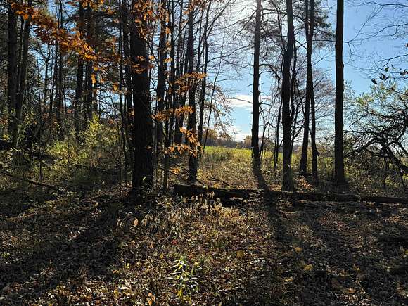 26 Acres of Recreational Land & Farm for Sale in Arkport, New York