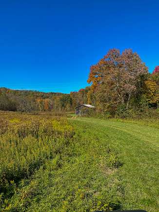 73 Acres of Recreational Land & Farm for Sale in Vanceburg, Kentucky ...