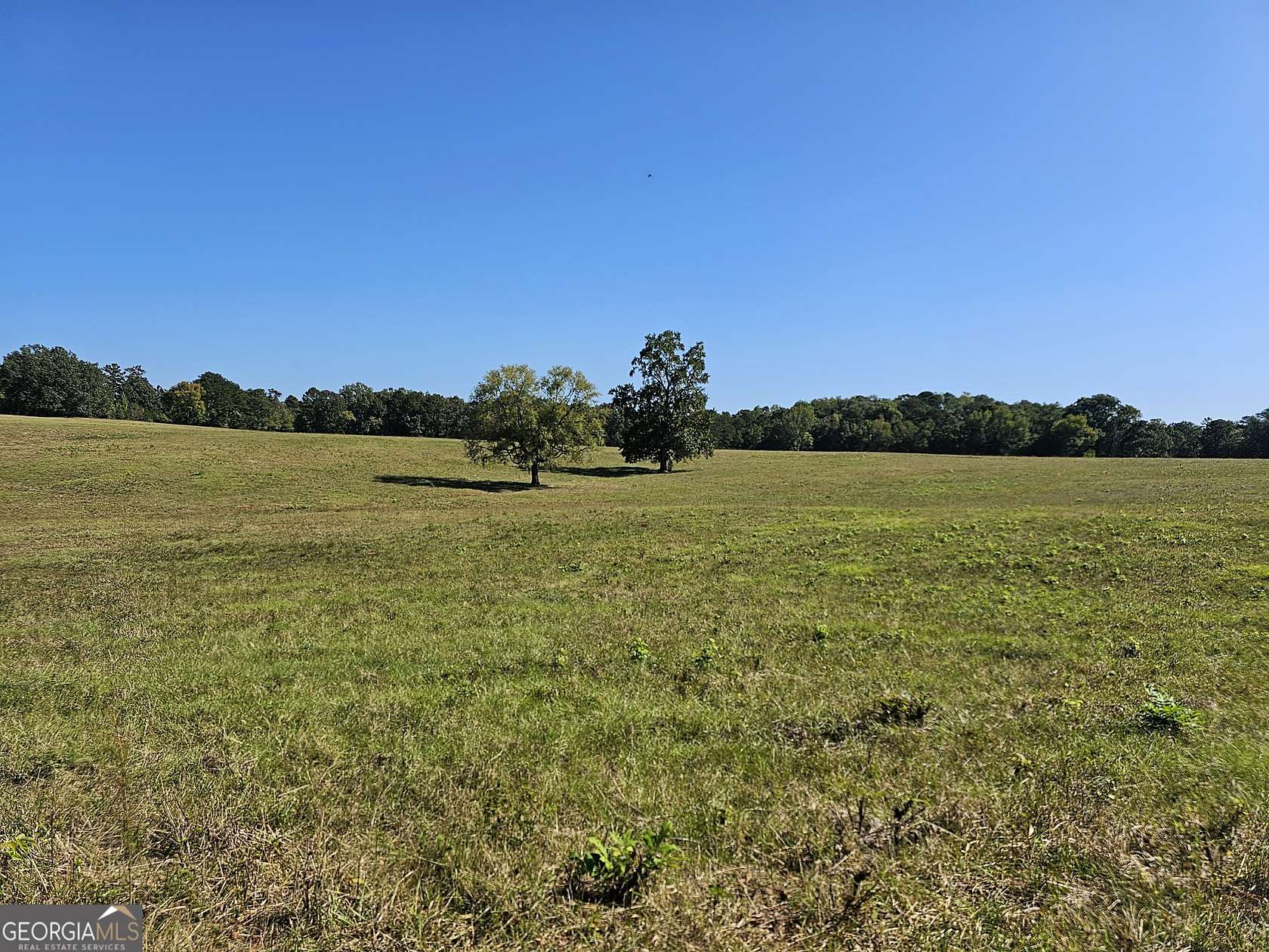 12.5 Acres of Land for Sale in Monticello, Georgia
