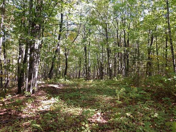 315 Acres of Recreational Land for Sale in Bessemer, Michigan