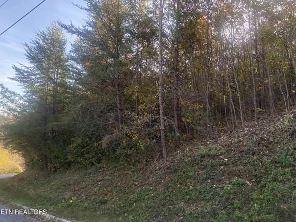 0.92 Acres of Residential Land for Sale in Caryville, Tennessee