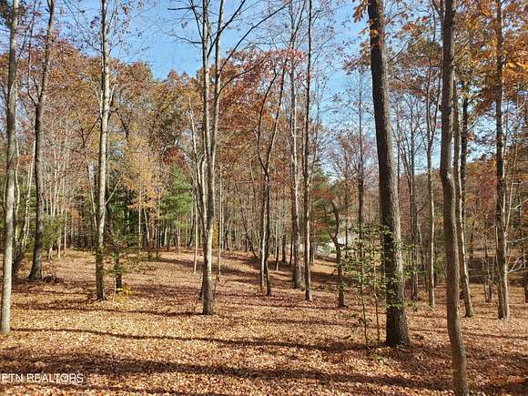 3.1 Acres of Residential Land for Sale in Oneida, Tennessee