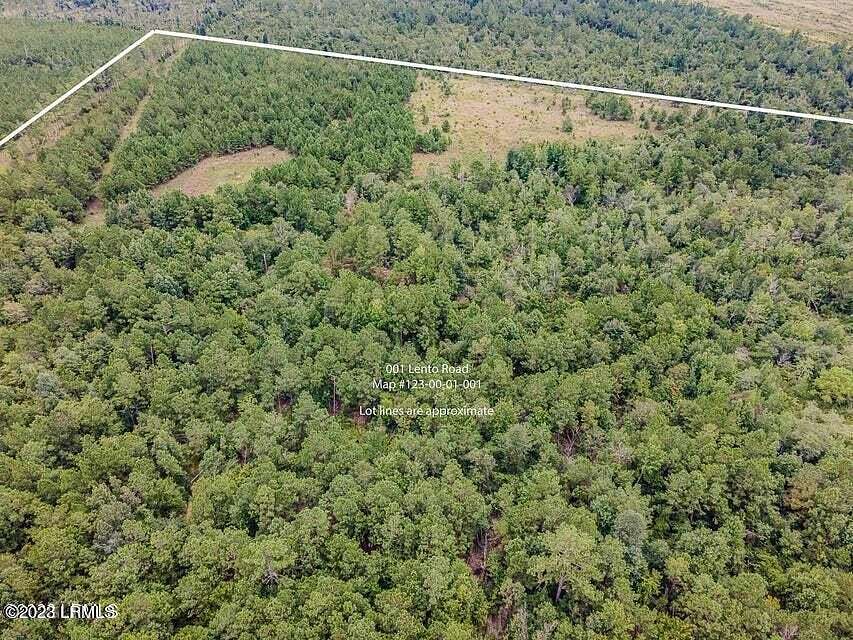 53 Acres of Land for Sale in Varnville, South Carolina