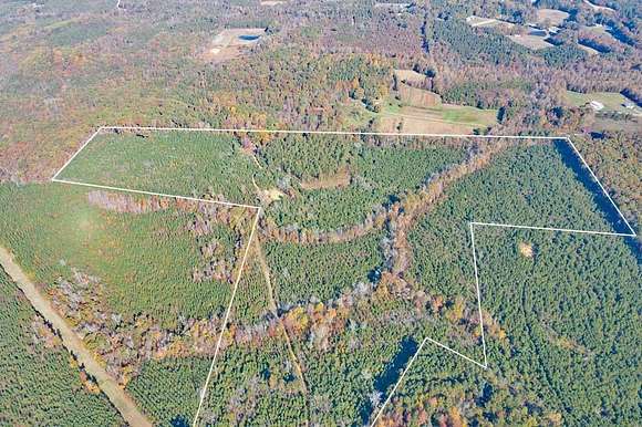 132 Acres of Land for Sale in Rougemont, North Carolina
