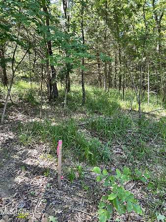 10 Acres of Land for Sale in Hernando, Mississippi
