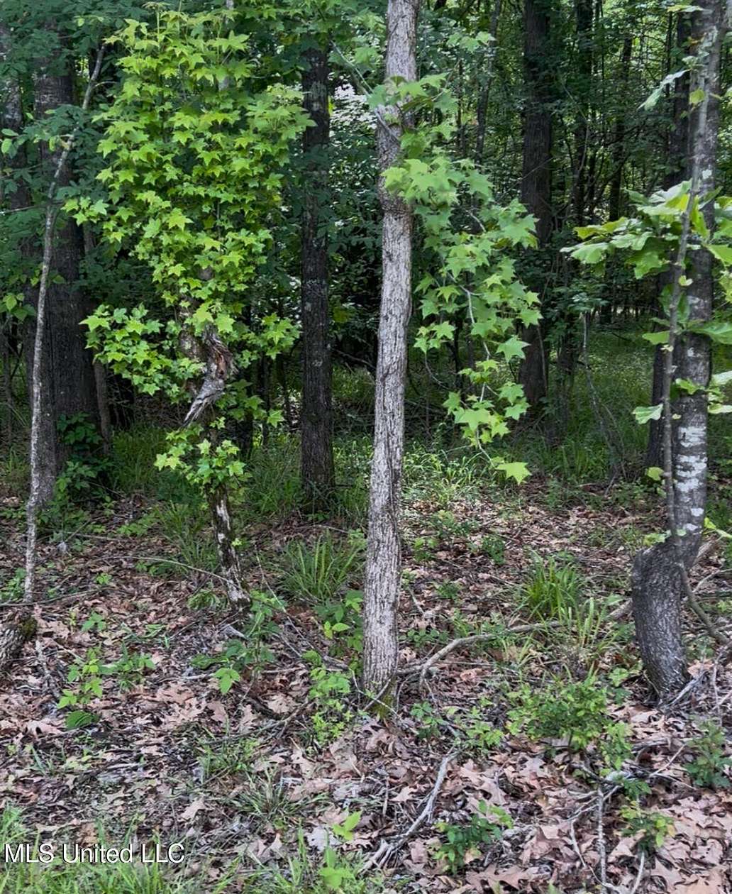 11 Acres of Land for Sale in Hernando, Mississippi