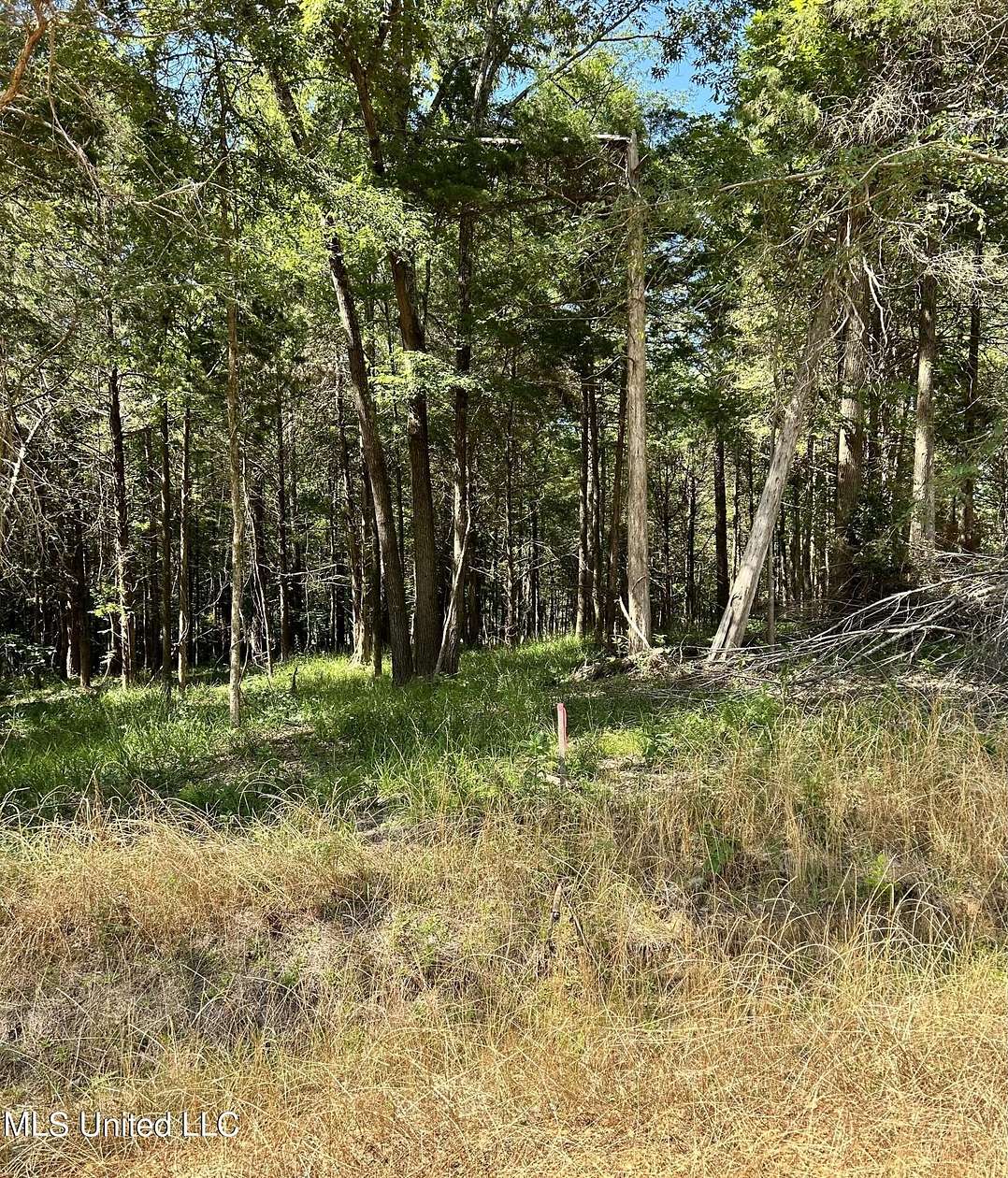 12 Acres of Land for Sale in Hernando, Mississippi