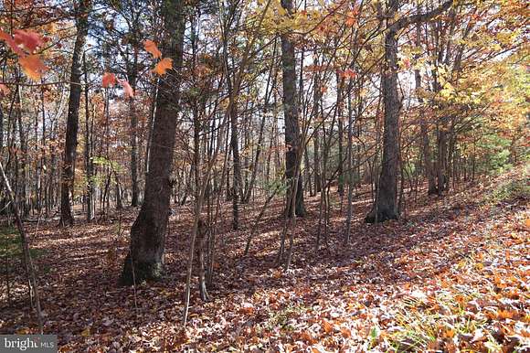 0.65 Acres of Land for Sale in Wardensville, West Virginia