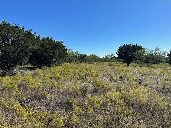 1 Acre of Residential Land for Sale in Graford, Texas