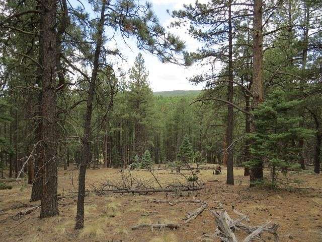 1.1 Acres of Residential Land for Sale in Angel Fire, New Mexico