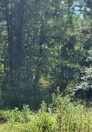 1.24 Acres of Land for Sale in Broken Bow, Oklahoma
