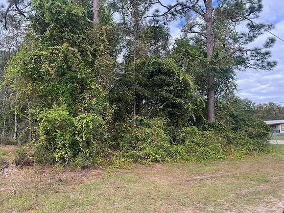 0.15 Acres of Residential Land for Sale in Ocklawaha, Florida