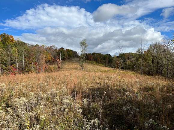 10 Acres of Recreational Land for Sale in Long Bottom, Ohio