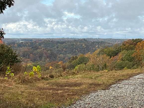 57.4 Acres of Recreational Land for Sale in Long Bottom, Ohio