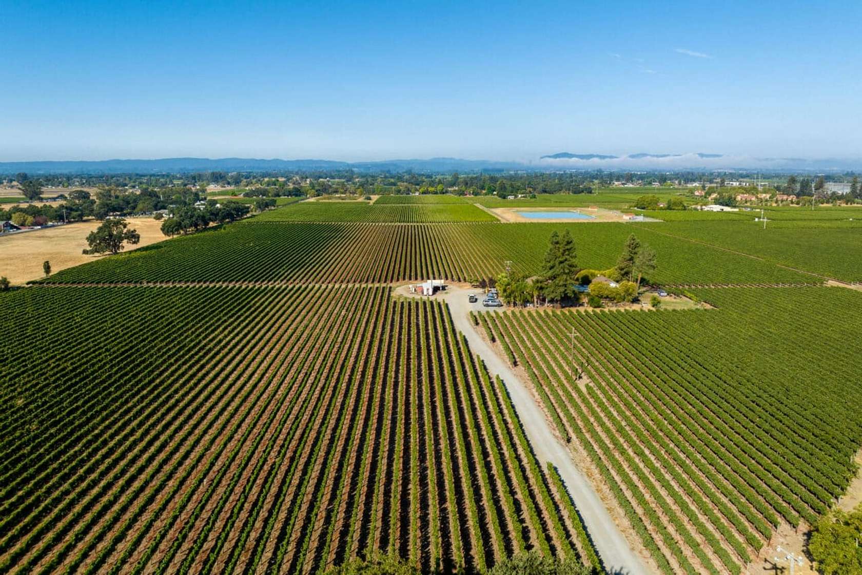 56 Acres of Agricultural Land with Home for Sale in Santa Rosa, California