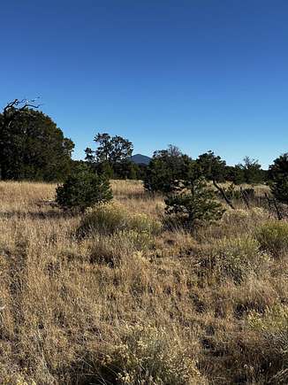 5.7 Acres of Land for Sale in Quemado, New Mexico