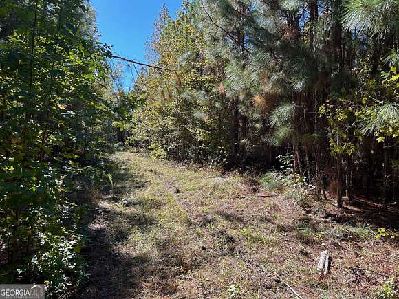 59.6 Acres of Land for Sale in Rockledge, Georgia