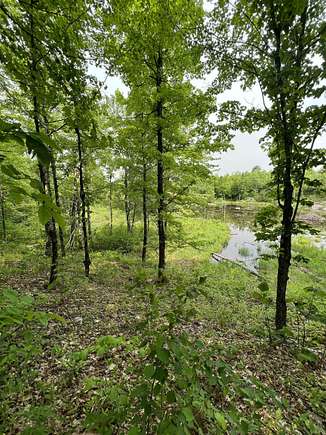 54.2 Acres of Recreational Land for Sale in Parishville, New York
