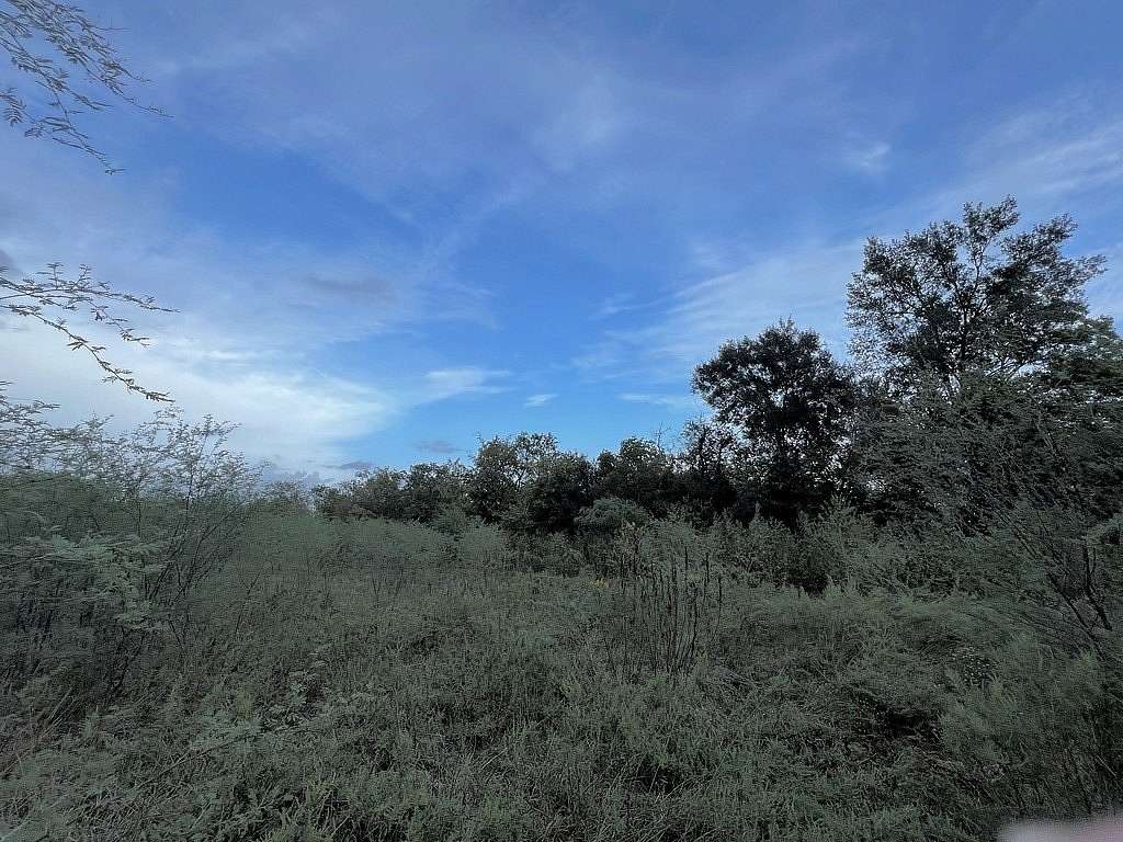 15 Acres of Recreational Land for Sale in Wallis, Texas