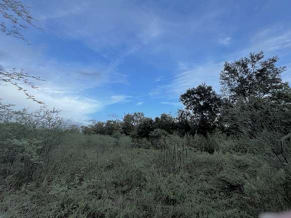 15.1 Acres of Land for Sale in Wallis, Texas