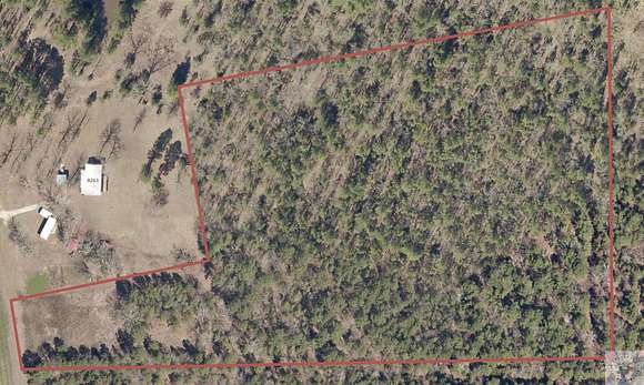 13 Acres of Land for Sale in Simms, Texas