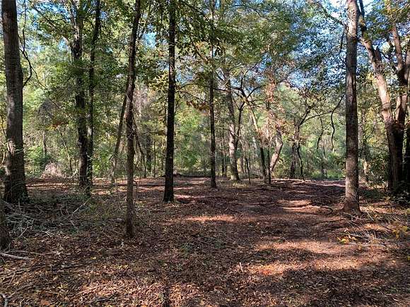 25.5 Acres of Recreational Land for Sale in Athens, Texas
