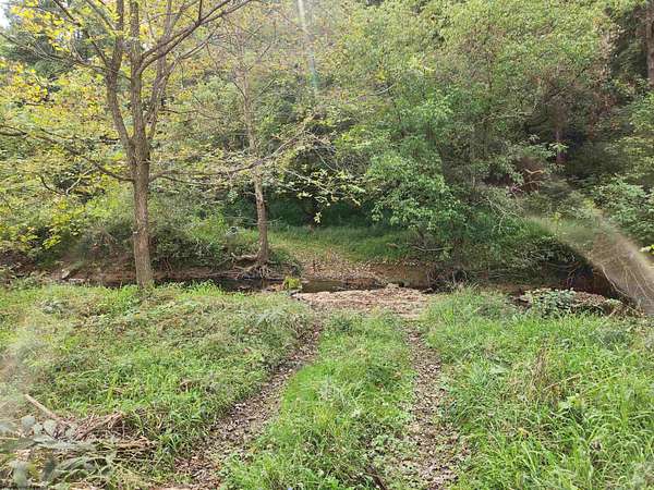 22 Acres of Recreational Land & Farm for Sale in Lost Creek, West Virginia