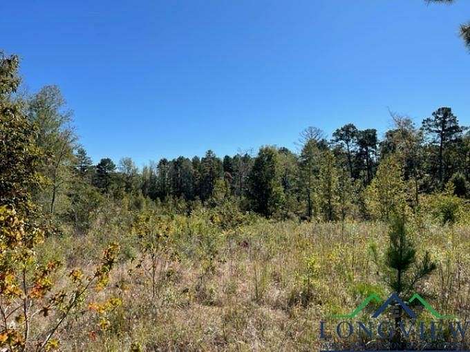 44 Acres of Land for Sale in Kilgore, Texas