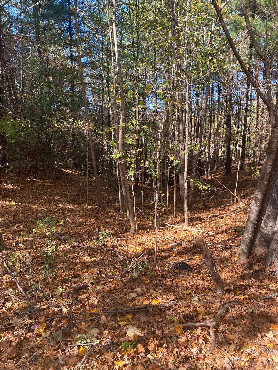 1 Acre of Residential Land for Sale in Nebo, North Carolina