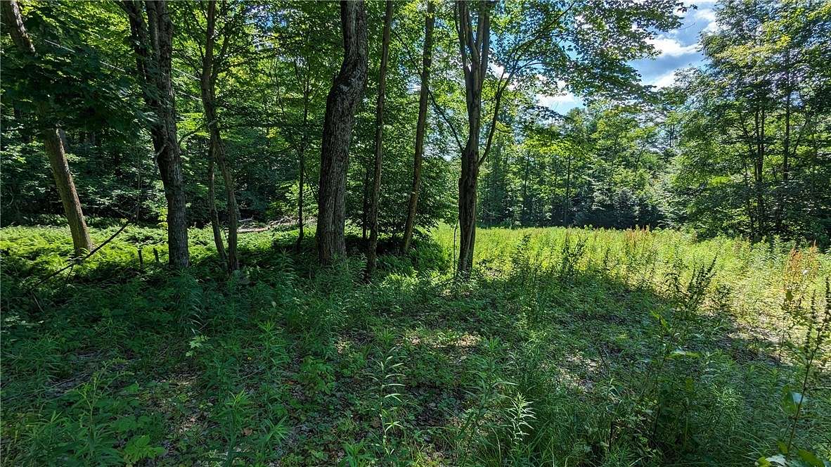 7.32 Acres of Residential Land for Sale in Laurens, New York