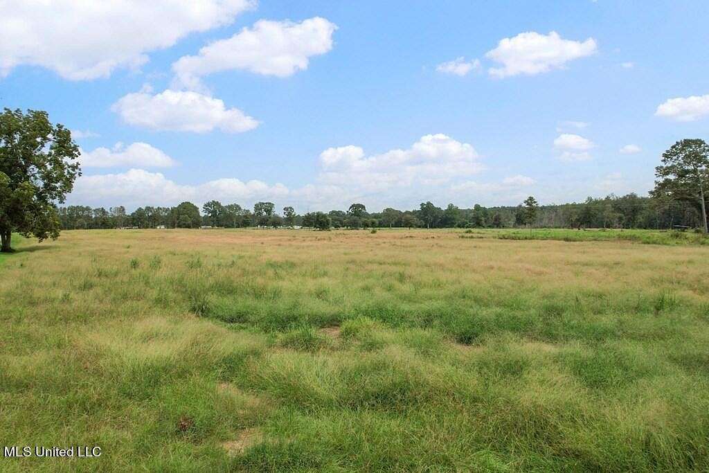 39.8 Acres of Land for Sale in Poplarville, Mississippi