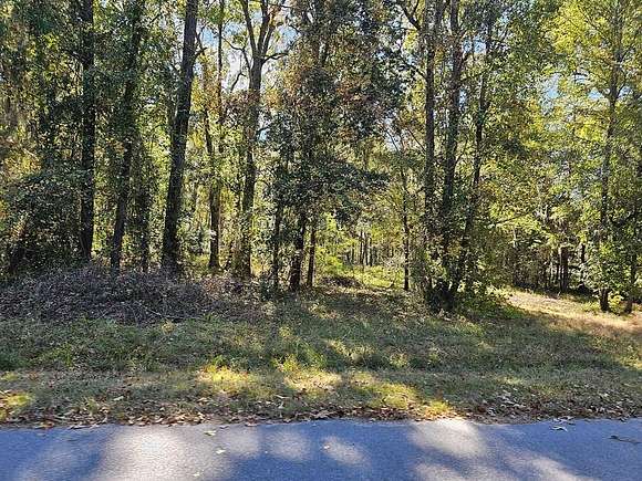 2.5 Acres of Commercial Land for Sale in Cameron, South Carolina