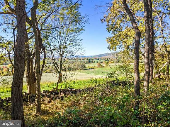 5 Acres of Land for Sale in Bluemont, Virginia
