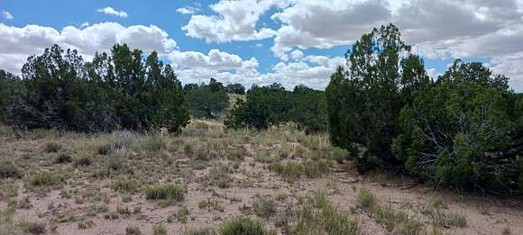 2.5 Acres of Residential Land for Sale in Sanders, Arizona