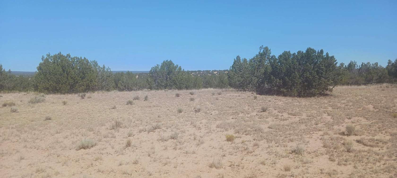 10 Acres of Recreational Land for Sale in Sanders, Arizona