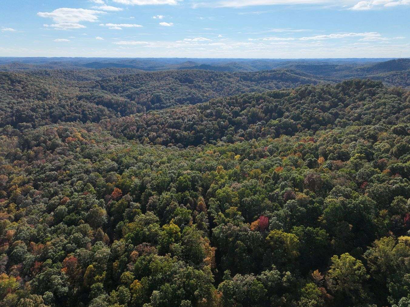 58 Acres of Recreational Land for Sale in Newton, West Virginia