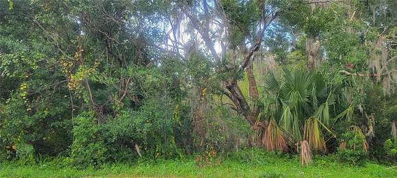 0.55 Acres of Residential Land for Sale in Sanford, Florida