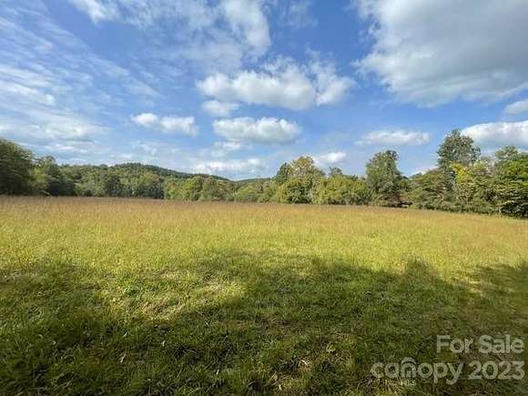 113 Acres of Land for Sale in Mill Spring, North Carolina