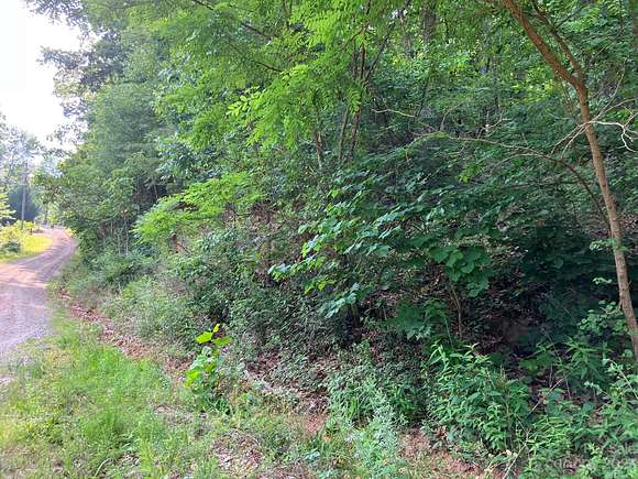 2.9 Acres of Land for Sale in Lake Lure, North Carolina