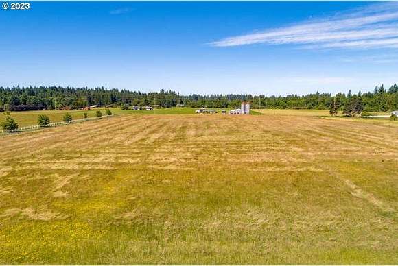 20 Acres of Agricultural Land for Sale in Brush Prairie, Washington