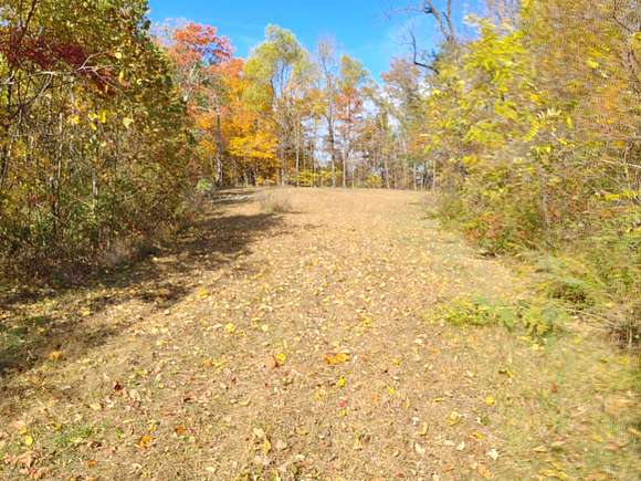 172 Acres of Land for Sale in Mount Vernon, Kentucky