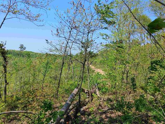 172 Acres of Land for Sale in Mount Vernon, Kentucky