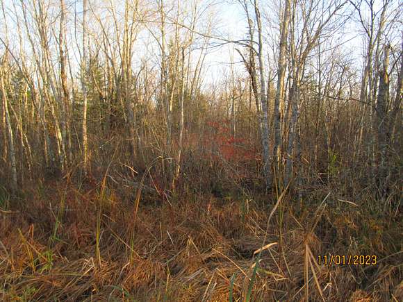 64 Acres of Land for Sale in Hermon, Maine