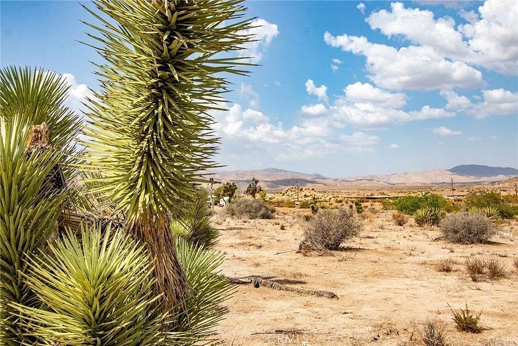 1.3 Acres of Residential Land for Sale in Pioneertown, California