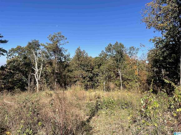 3.8 Acres of Residential Land for Sale in Anniston, Alabama