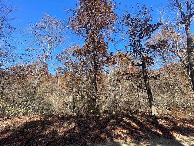 5 Acres of Residential Land for Sale in Fredericktown, Missouri